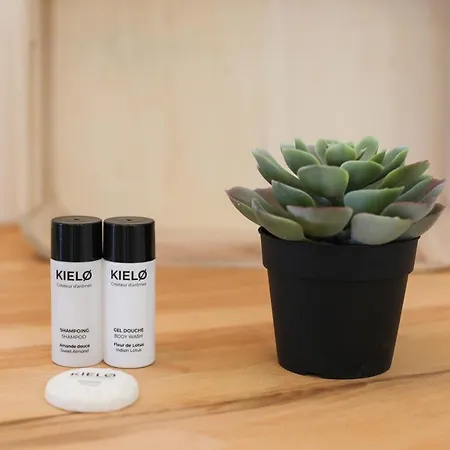 Neuf Decore Avec Gout - Toit Terrasse Apartment