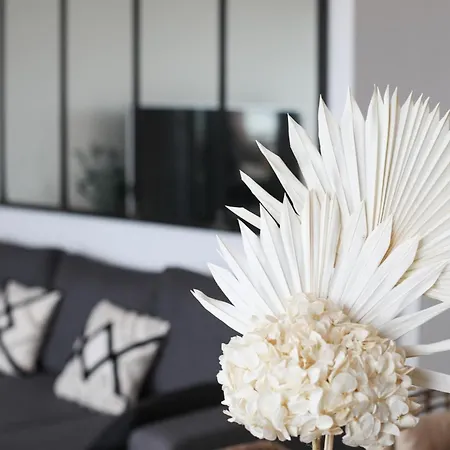 Neuf Decore Avec Gout - Toit Terrasse Apartment *
